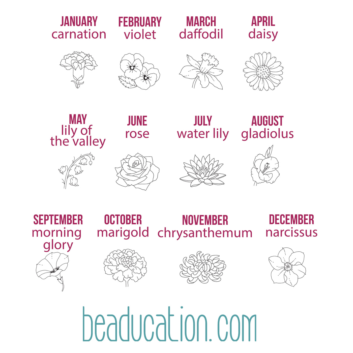 October Birth Month Flower Pack Scan marigold and Cosmos DIGITAL DOWNLOAD  for Tattoo Design or Wallpaper - Etsy